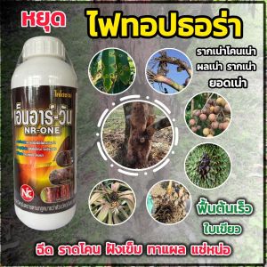 ยาเชื้อราพืช ทุเรียน เอ็นอาร์-วัน ยาเชื้อราทุเรียน ยาราทุเรียน ไฟทอปธอร่า ไฟทอปเทอร่า กำจัดโรคพืช รากเน่า โคนเน่า 1 ลิตร