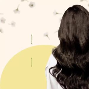 AloDerma Hair Revitalizing Bundle -4-Step System for Hair Fall Damage & Regrowth- Watsons Packaging