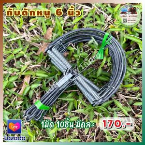 กับดักหนู 6 นิ้ว เต็มสเป็ค จัดส่งด่วน กับตีหนู กับดักหนูเวียดนาม กับดักเกือกม้า กับลาว กับฟ้าผ่า กับดักวงเดือน