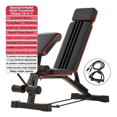 BYCON Foldable Home Fitness Bench Dumbbel Training Chair Sit-up Helper 12in1 Multifunctional Home Gym Gear