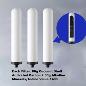 TROUWIDS Water Filter Purifier Bucket For Home 20L Water Filter Pot Set With 3 Filters And Stand