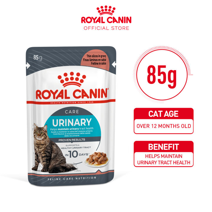 Vedula Is It Bad To Feed Your Cat Wet Food Everyday Cat Litter