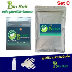 Termite Bio Bait ชุดเหยื่อเชื้อรากำจัดปลวกตายยกรัง ชีวภัณฑ์กำจัดปลวกแบบกำจัดยกรัง