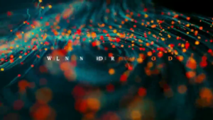 10 Count Wedding Horseshoe Favors Western Party Supplies Horseshoe Wedding Favors for Guest Seating and Party Decors