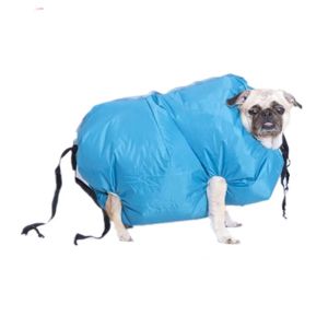 Dog Hair Dryer Puff and Fluff Cheap Pet Grooming Hair Dryer Blower Summer Portable Cat Dryer Box Dog Grooming Force Dryer