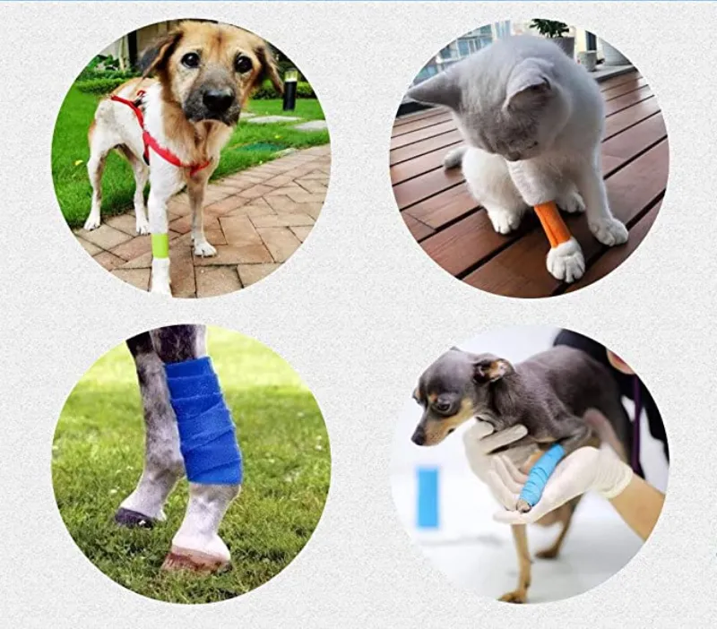 Self Adhering Bandage,Injury Wrap Tape for Dogs,First Aid Medical - Main Image
