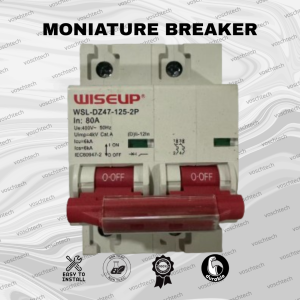 High Quality 2 Pole Circuit Breaker WSL-DZ47-125-2P 80A–120A for Safe Power Distribution