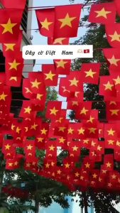 [2/9] Cờ Dây Sao Vàng 10m [20 Lá] Vải Phi Bóng Cao Cấp Chống Nắng Mưa - Trang Trí Lễ Tết Sự Kiện Quán Cafe Khu Dâ