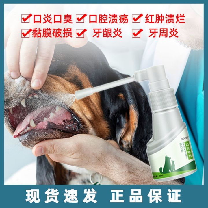 ⊕ Cat stomatitis spray oral ulcer drooling dog breath gum inflammation ...