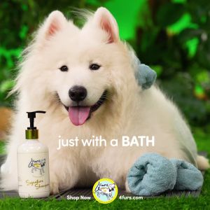350ML 4furs Singapore Signature Shampoo/ dog shampoo / natural shampoo / paraben free shampoo / vet reviewed ingredients