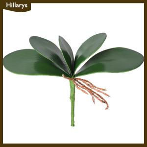 [Hillarys] Phong Lan Lá Nhân Tạo Phalaenopsis Thân Cây Lá Giả Cymbidium Hoa Lá Màu Xanh Lá Cây Bất Cảm Ứng Cao Su Số Lượng Lớn Trang Trí Nội Thất