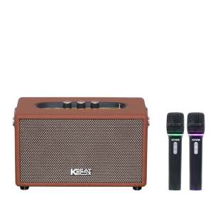 Loa xách tay ACNOS S60 dàn karaoke di động SONCAMEDIA S 60 Hàng chính hãng