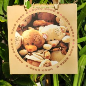 Túi Giấy Bìa Cứng Đựng Quà Hình Chữ Nhật Họa Tiết Dễ Thương Đa Dạng Mẫu Lựa Chọn Xương Rồng Nhỏ