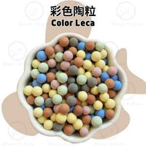 RAINBOW COLOR LECA 10MM COLOR SELECTION CLAY PEBBLES GARDENING PLANTS DECORATION LECA BALLS 彩虹陶粒 铺面陶粒水根种植陶粒