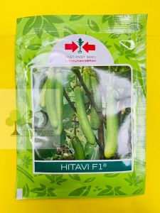 Benih terong hijau HITAVI F1 tahan layu bakteri & GV. dari cap panah merah. Isi ±1100 btr joss tenan!!!