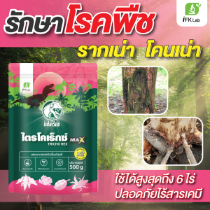 รักษาโรค รากเน่า โคนเน่า เน่าคอดิน เชื้อไตรโคเดอร์ม่า ป้องกันและรักษาโรคพืชได้ทุกชนิด กำจัดเชื้อราโรคพืช ให้พืชไม่เป็นโรค ปลอดภัย ไตรโคเร็กซ์แม็กซ์ 500 กรัม