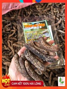 Chuối hột rừng Tây Nguyên sấy khô (1kg) chuối chín trái nhỏ rừng Tây Nguyên cho người đau lưng nhức mỏi sỏi thận