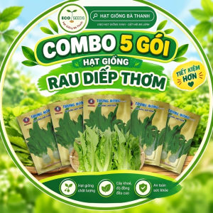 [EcoSeeds] Combo Tiết Kiệm 5 Gói Hạt Giống Rau Diếp Thơm (Xà Lách Diếp Xà Lách Thân) - Gói 5g