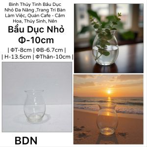 Bình Hoa Thủy Tinh Cao Cấp Miệng Bèo (Lượn Sóng) H-23cm - Lọ Decor Dáng Bầu Eo Trang Trí Nhà Cửa Bàn Ăn
