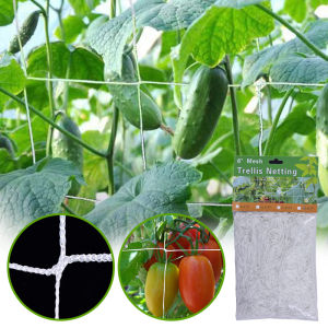 High-Quality Garden Climbing Netting Strong Nylon Plant Trellis For Climbing Plants Loofah Morning Glory Flowers Cucumber Vine