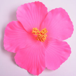 Tooyoo Sweet Girls Beautful Phalaenopsis Flower Hairpin Clips Side Bangs Clip Hair Accessory Fashion Beach Holiday Artifact Flower Hairpin Clips