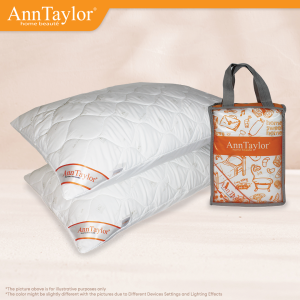 Ann Taylor Pillow Protector (2pcs) | Micro Peach Fabric Anti-Dust Mite