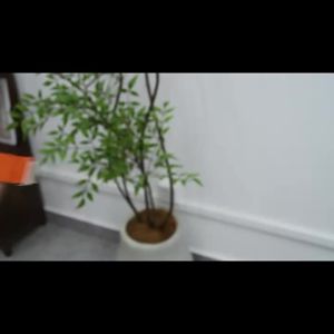 Suitable for Huawei Elastic Nylon Strap Parachute Buckle Universal Series for Samsung and Huawei 20MM 22MM Strap