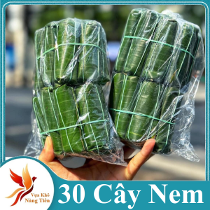 50 Cây NEM CHUA THANH HÓA (CHUẨN GỐC) ngon chuẩn vị ăn là ghiền