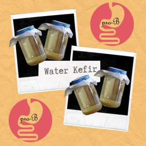 Active Water Kefir Grains (Export Quality + Live Culture + Freshly Packed + Guidance by Professional) Beginner Friendly.
