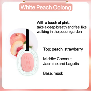 SG stock🔥Air Freshener for Wardrobe Cabinet car Aromatherapy Wax