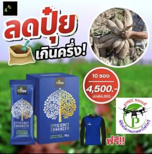4Treeของแท้ ​โฟร์​ทรี 1 กล่อง(แถมเสื้อ 1ตัว)สารเสริมประสิทธิภาพพืชสูตรอิออน นวัตกรรมใหม่อิสราเอล เร่งราก โตเร็ว เขียวนาน ลดต้นทุน ของแท้100%
