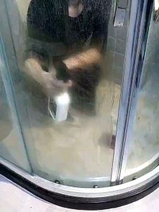 Bathroom Cleaner 500ml 卫浴清洁剂 500ml