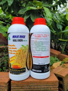 [TRUNG THIEN THINH] Phân bón Kali Đen chai 1 lít giúp lúa nếp trổ bông đều vô gạo nhanh chín chắc tới cậy