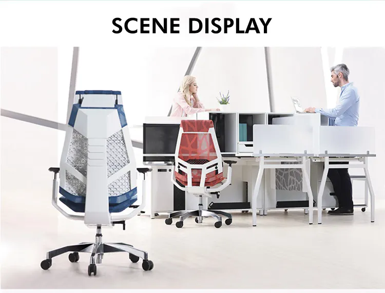 Ergohuman Genidia Ergonomic Office Chair Lazada Singapore