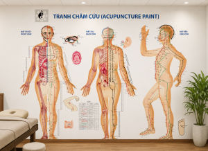 Tranh dán tường spa dưỡng sinh đông y tranh châm cứu có sẵn keo tiện lợi