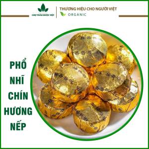 Trà phổ nhĩ chín hoa cúc và 30 loại trà phổ nhĩ thượng hạng tự chọn tiện lợi tốt cho sức khỏe