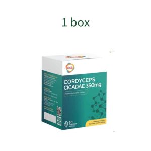 【GreenCare Pharmacy】 GKB Cordyceps Cicadae 350mg Vegecap (60S) 草本益生营养配方|调理肠道菌群 促进消化平衡 Daily Gut Wellness & Probiotic Support