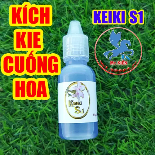 K%C3%8DCH%20KIE%20CU%E1%BB%90NG%20HOA%20PHONG%20LAN%20-%20KEIKI%20S1%20-%20Image%201