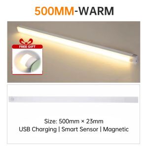 LED Motion Sensor Night Light USB Rechargeable Wardrobe Cabinet Bookshelves Desk Induction Smart Lamp For Bedroom   Aatroxw