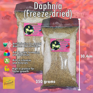 DAPHNIA Fish Food (DIRECT SUPPLIER) Treats 175 - 350 grams - Greensect