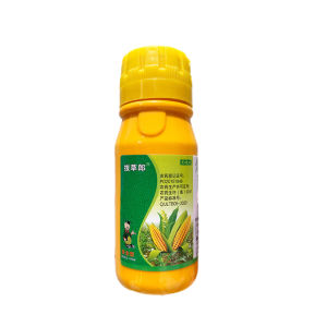 【Authentic】racun rumput mati akar racun rumput paling kuat murah 除草剂 racun rumput sambau racun rumput paraquat roundup racun rumput racun pokok paling kuat weed killer racun pokok kayu besar racun paraquat racun rumput cepat mati