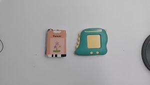 Cross-border Foreign Trade Payment in English Flash Cards Childrens Educational Flash Card Insert Machine German Early Education Card Machine