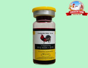 B12 6000 + B15 - CHAI 10ML - (KÈM KIM CHÍCH) TĂNG NƯỚC MÁU CHO GÀ ĐÁ