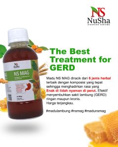 PROMO 2 botol Obat Herbal Asam Lambung NS MAG Gratis 1 botol NS KIDS Nusha MADU ASAM LAMBUNG MADU MAAG MADU GERD MADU GANGGUAN LAMBUNG MADU PENCERNAAN 280GR