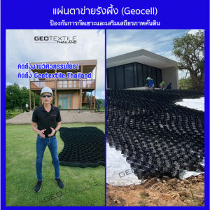 Geocell-100-330 ตาข่ายรังผึ้ง (สูง10cm) ป้องกันการกัดเซาะผิวหน้าดิน เสริมเสถียรภาพคันดิน กันดินสไลด์
