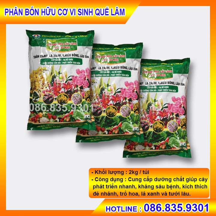 java core là gì? phân biệt java core với java... Phân bón Quê Lâm gói 2kg -Phân bón hữu cơ giúp tăng độ tơi xốp và dinh ...