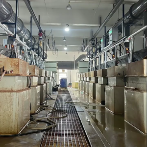 5pcs Heat Efficient Copper Soldering Iron Tip Easy to Replace Suitable for Enhances Efficiency in Small Appliance Fixes