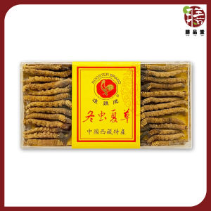 纯正西藏虫草(1盒) Cordyceps/He Zhuang Chong Cao 调节免疫系统功能 抗肿瘤作用 抗疲劳 !!!