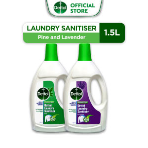Dettol Laundry Sanitizer Detergent Assorted Variant 1.5L