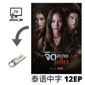 ahlim88 泰国电视剧《心蛊仇眠 + 找寻遗忘的爱 + 至爱》 泰语中字 Pendrive Thai Drama - Local Warranty